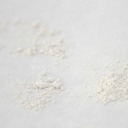 Lactobacillus ferment