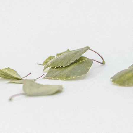Birch xylitol