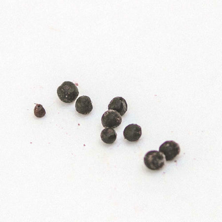 Arctic wild bilberry