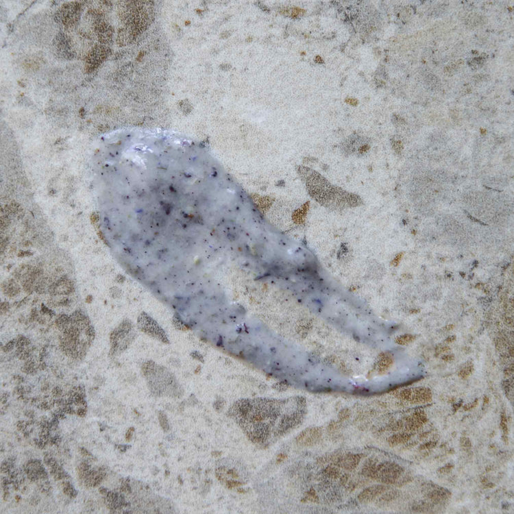 RECALM Probiotic Herbal Face Mask