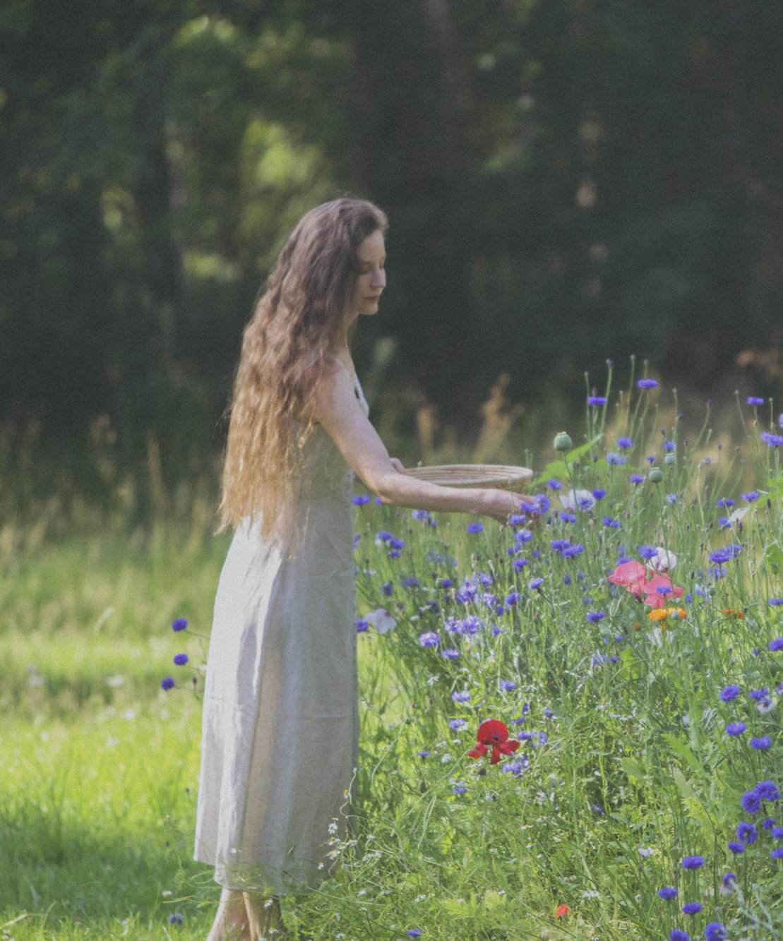 Nörre Nordic founder